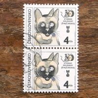 使用済切手　チェコスロバキア　ネコ2枚セット（1981年）