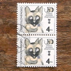 画像1: 使用済切手　チェコスロバキア　ネコ2枚セット（1981年）